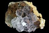Lustrous Purple Cubic Fluorite Crystals - Morocco #80270-1
